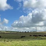 Ralfgus 16 Forest Views Caravan Park,moota Semesterbostad *