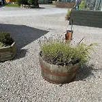 Ralfgus 16 Forest Views Caravan Park,moota Semesterbostad