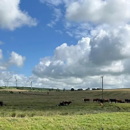 Ralfgus 16 Forest Views Caravan Park,moota 別荘 *