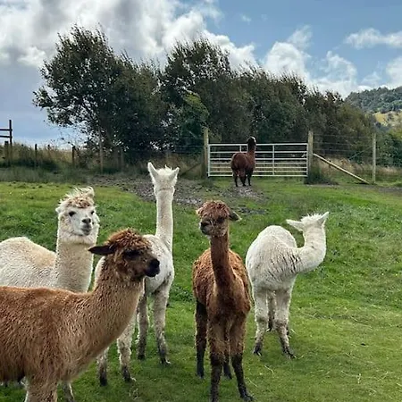 別荘 Ralfgus 16 Forest Views Caravan Park,moota Plumbland