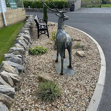 Ralfgus 16 Forest Views Caravan Park,moota 別荘 *