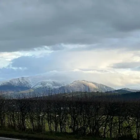 Ralfgus 16 Forest Views Caravan Park,moota 別荘 *