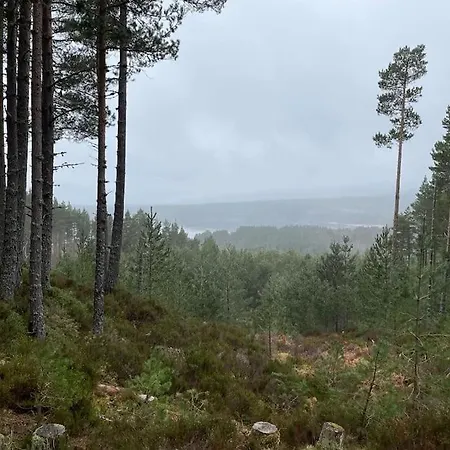 Ralfgus 16 Forest Views Caravan Park,moota 別荘 *