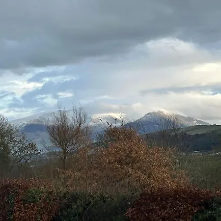 Ralfgus 16 Forest Views Caravan Park,moota