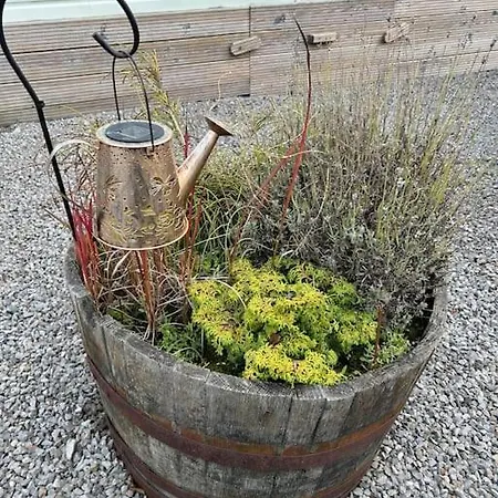 Ralfgus 16 Forest Views Caravan Park,moota 別荘 *