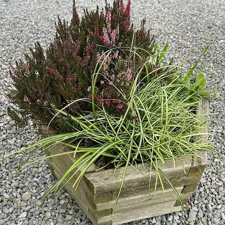 Ralfgus 16 Forest Views Caravan Park,moota * Plumbland